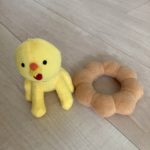 ポン・デ・ライオン？？<br width=